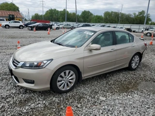 HONDA ACCORD EXL EXL