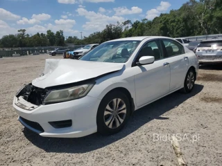 HONDA ACCORD LX LX
