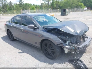 HONDA HONDA ACCORD SPORT
