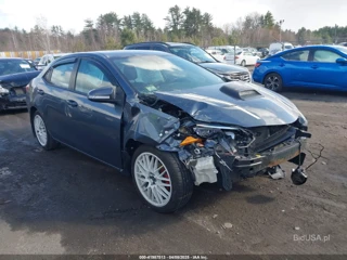 TOYOTA TOYOTA COROLLA LE