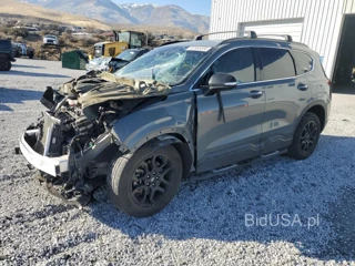 HYUNDAI SANTA FE X XRT