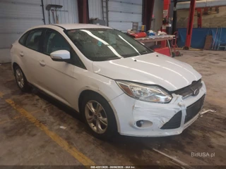 FORD FORD FOCUS SE