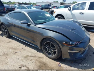 FORD FORD MUSTANG ECOBOOST