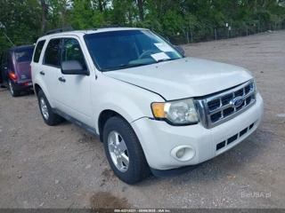 FORD FORD ESCAPE XLT