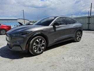 FORD MUSTANG MA PREMIUM