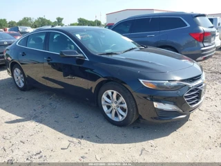 CHEVROLET CHEVROLET MALIBU FWD 1LT