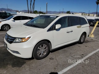 HONDA ODYSSEY EX EXL