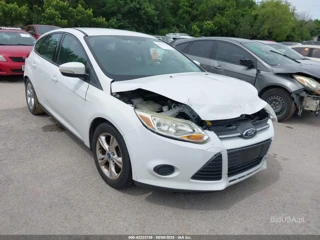 FORD FORD FOCUS SE