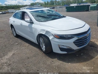 CHEVROLET CHEVROLET MALIBU FWD 1LT