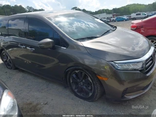 HONDA HONDA ODYSSEY ELITE
