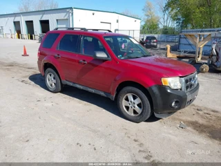 FORD FORD ESCAPE XLT