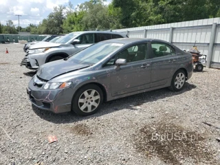 HONDA CIVIC LX LX