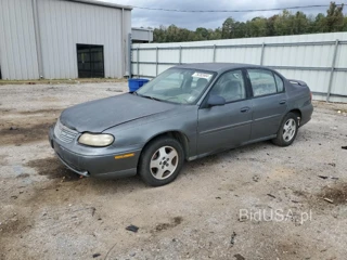 CHEVROLET MALIBU CLA
