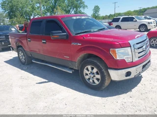 FORD FORD F-150 XLT