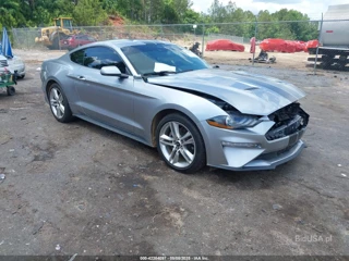 FORD FORD MUSTANG ECOBOOST FASTBACK