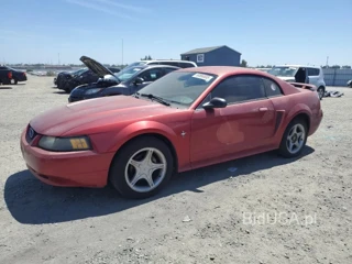 FORD MUSTANG