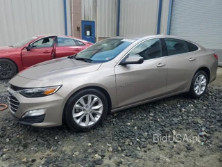 CHEVROLET MALIBU LT LT