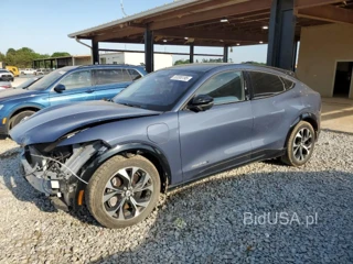 FORD MUSTANG MA PREMIUM