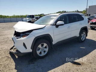 TOYOTA RAV4 XLE XLE