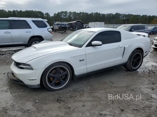 FORD MUSTANG GT GT