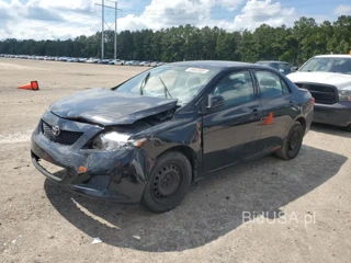 TOYOTA COROLLA BA BASE