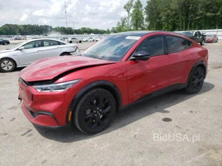 FORD MUSTANG MA PREMIUM