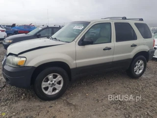 FORD ESCAPE XLT XLT