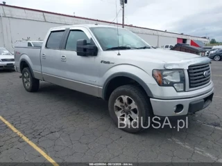 FORD FORD F-150 FX4