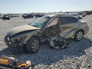 HONDA ACCORD EXL EXL