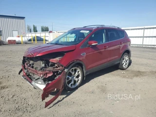 FORD ESCAPE TIT TITANIUM