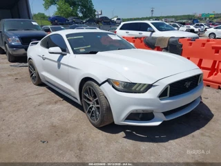 FORD FORD MUSTANG ECOBOOST