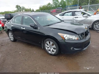 HONDA HONDA ACCORD 3.5 EX-L