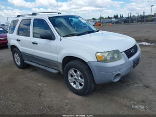 FORD FORD ESCAPE XLT