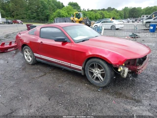 FORD FORD MUSTANG V6