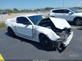FORD FORD MUSTANG V6