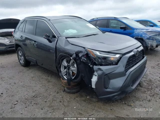 TOYOTA TOYOTA RAV4 XLE