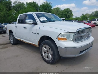 DODGE DODGE RAM 1500 SLT/SPORT/TRX