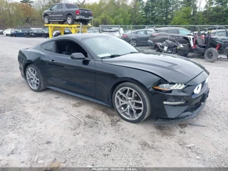 FORD FORD MUSTANG ECOBOOST