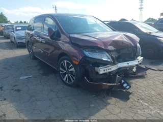 HONDA HONDA ODYSSEY ELITE