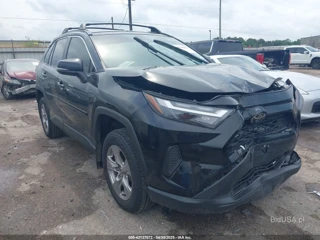 TOYOTA TOYOTA RAV4 XLE