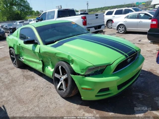FORD FORD MUSTANG V6