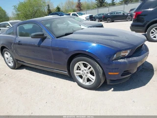 FORD FORD MUSTANG V6