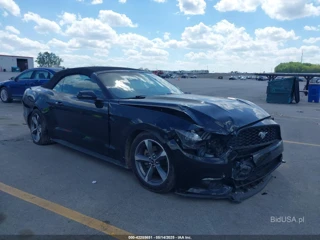 FORD FORD MUSTANG V6