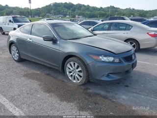 HONDA HONDA ACCORD 3.5 EX-L