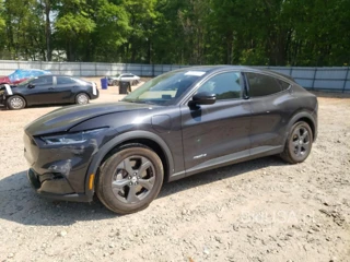 FORD MUSTANG MA SELECT