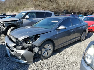 HYUNDAI SONATA HYB HYBRID