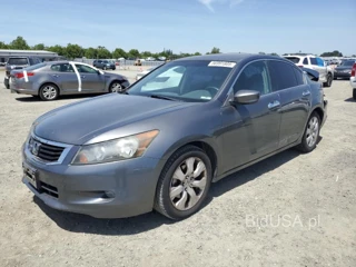 HONDA ACCORD EXL EXL