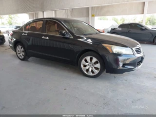 HONDA HONDA ACCORD 3.5 EX-L