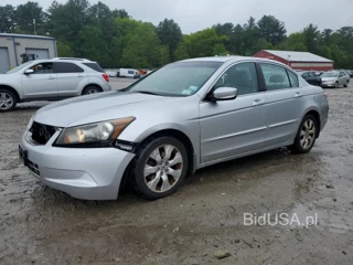 HONDA ACCORD EX EXL