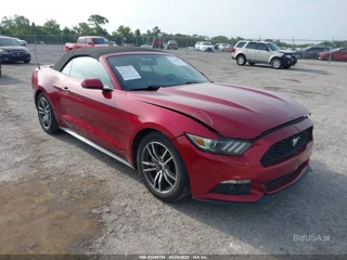 FORD FORD MUSTANG ECOBOOST PREMIUM
